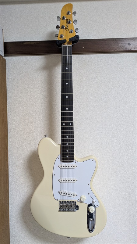 Ibanez TM730SP-IVWの画像